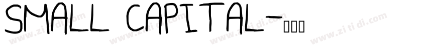 SMALL CAPITAL字体转换